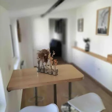 Apartment Micro Maison Lyon 8/ Parking / Terrain De Petanque Bron