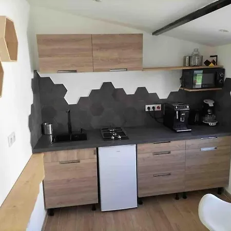 Micro Maison Lyon 8/ Parking / Terrain De Petanque 布龙