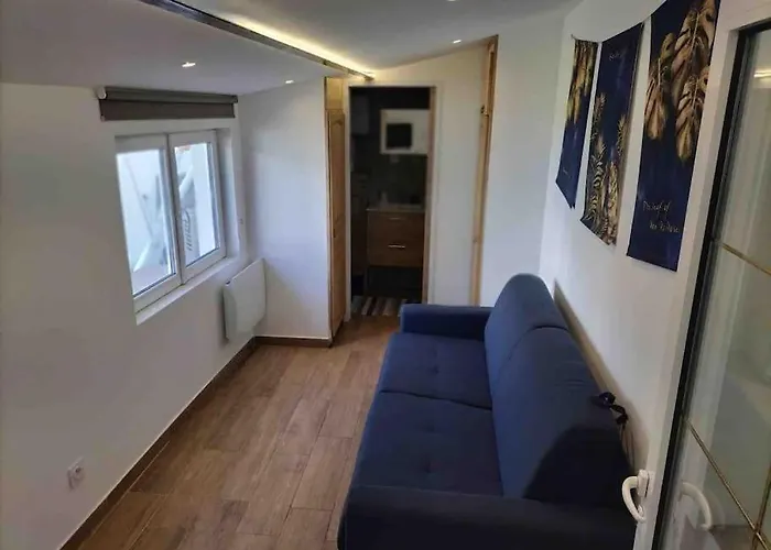 Micro Maison Lyon 8/ Parking / Terrain De Petanque Apartmán